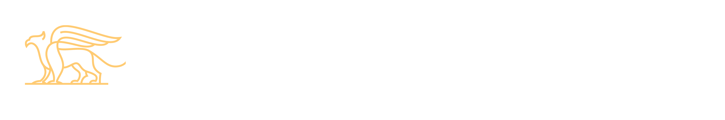 Credit Lawyer Ads